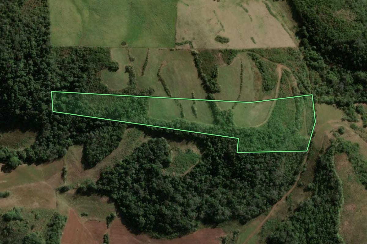 Imagem de satélite do imóvel rural em Jaguari (RS), com o contorno declarado no CAR desenhado por cima.