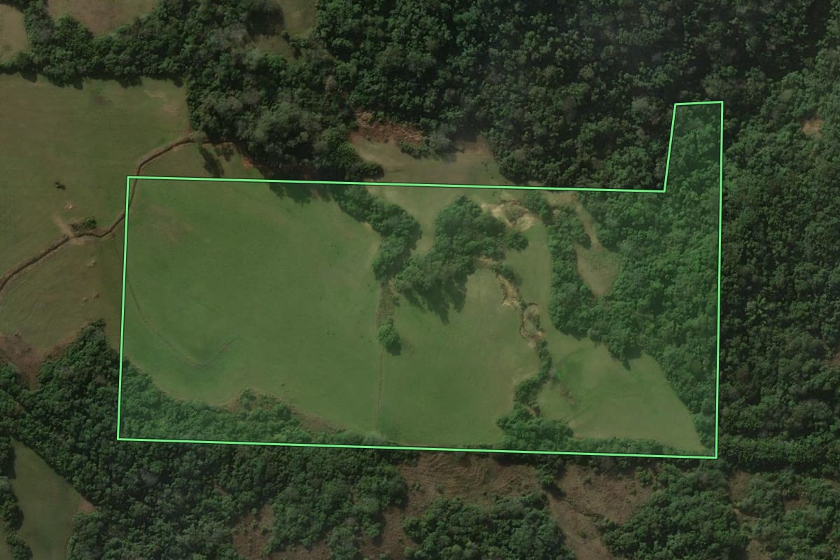 Imagem de satélite do imóvel rural em Jaguari (RS), com o contorno declarado no CAR desenhado por cima.