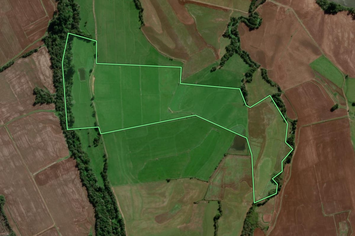 Imagem de satélite do imóvel rural em Jaguari (RS), com o contorno declarado no CAR desenhado por cima.
