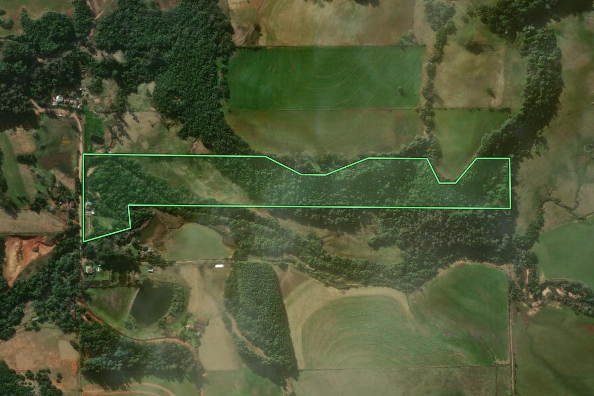 Imagem de satélite do imóvel rural em Jaguari (RS), com o contorno declarado no CAR desenhado por cima.