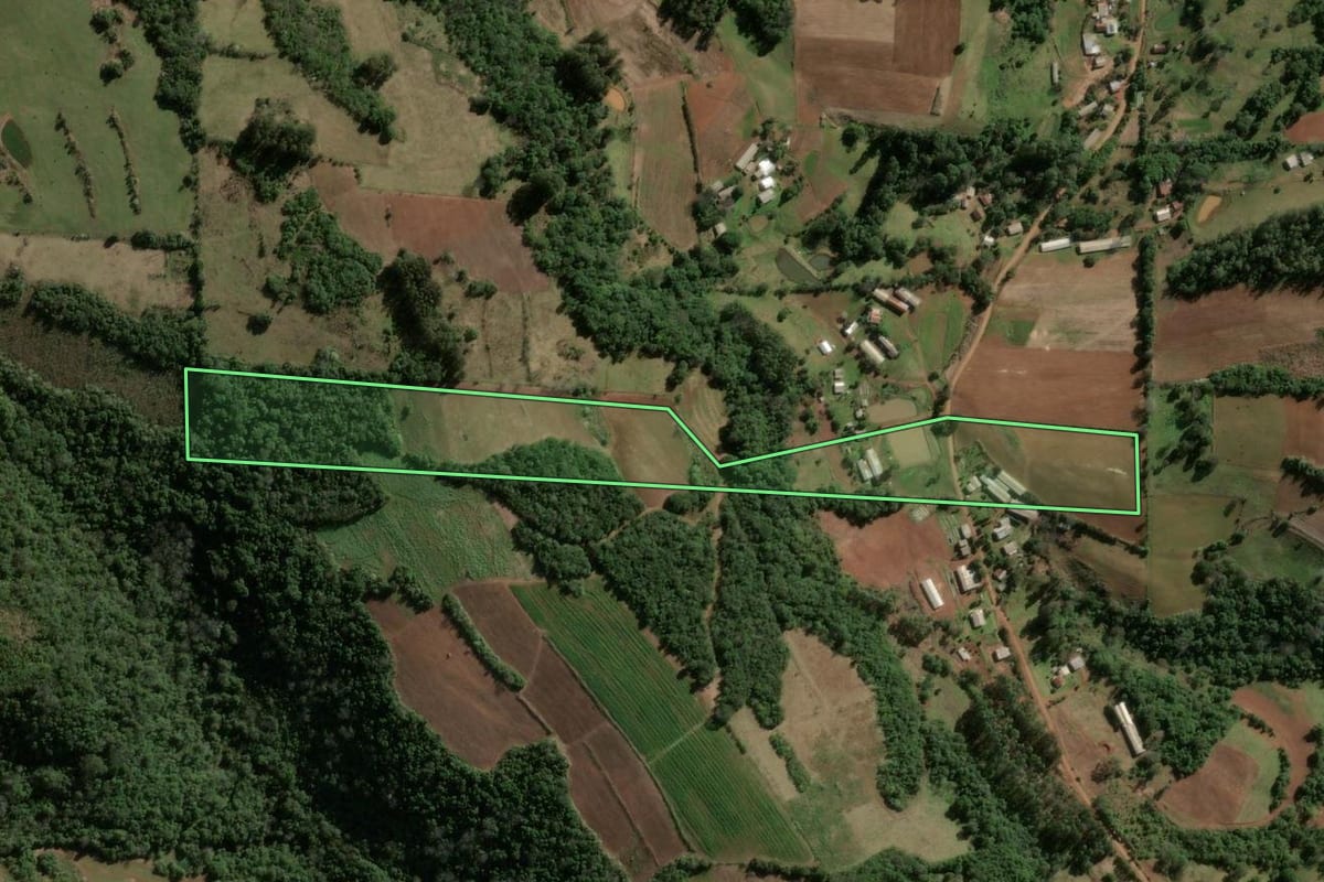 Imagem de satélite do imóvel rural em Jaguari (RS), com o contorno declarado no CAR desenhado por cima.
