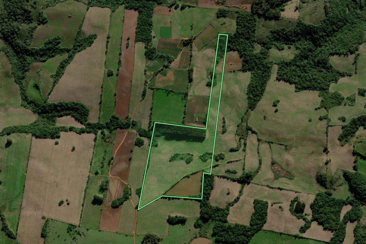 Imagem de satélite do imóvel rural em Jaguari (RS), com o contorno declarado no CAR desenhado por cima.