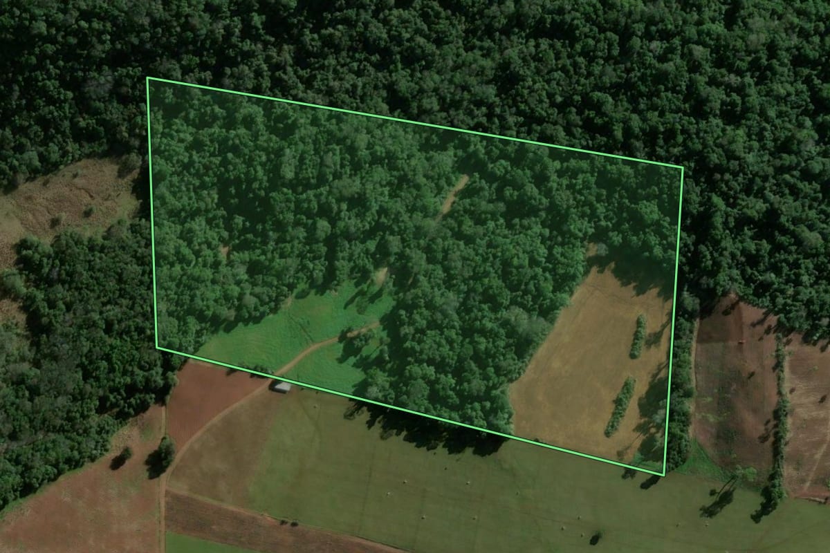 Imagem de satélite do imóvel rural em Jaguari (RS), com o contorno declarado no CAR desenhado por cima.