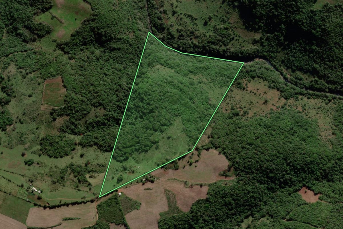Imagem de satélite do imóvel rural em Jaguari (RS), com o contorno declarado no CAR desenhado por cima.