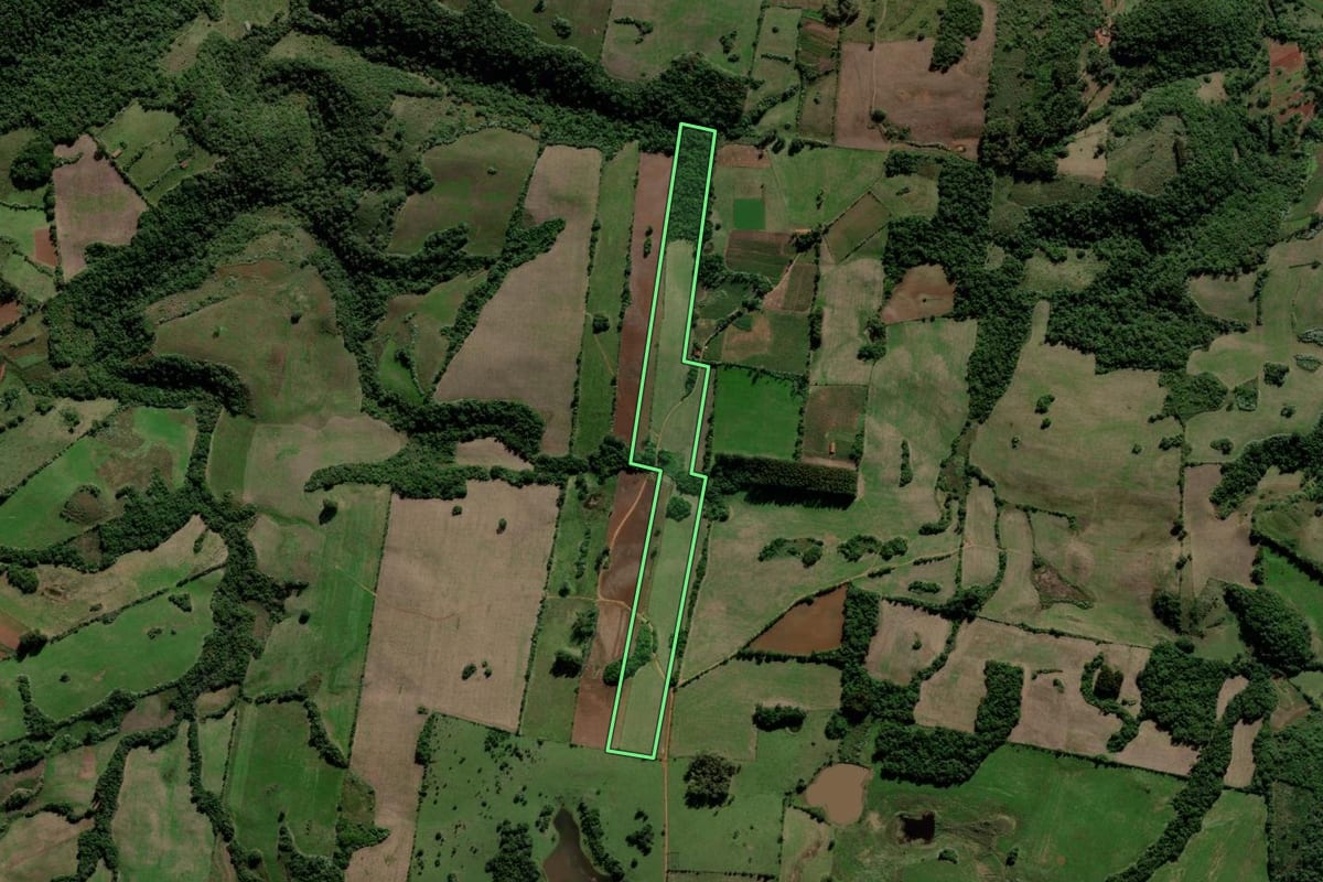 Imagem de satélite do imóvel rural em Jaguari (RS), com o contorno declarado no CAR desenhado por cima.