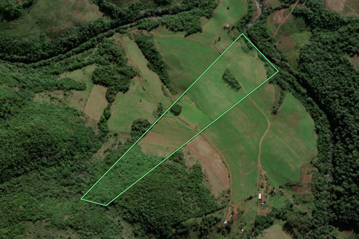 Imagem de satélite do imóvel rural em Jaguari (RS), com o contorno declarado no CAR desenhado por cima.