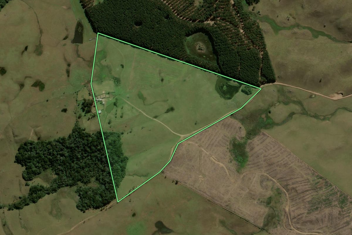 Imagem de satélite do imóvel rural em Jaquirana (RS), com o contorno declarado no CAR desenhado por cima.
