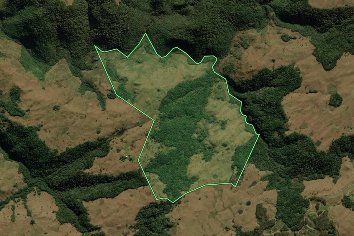 Imagem de satélite do imóvel rural em Jaquirana (RS), com o contorno declarado no CAR desenhado por cima.