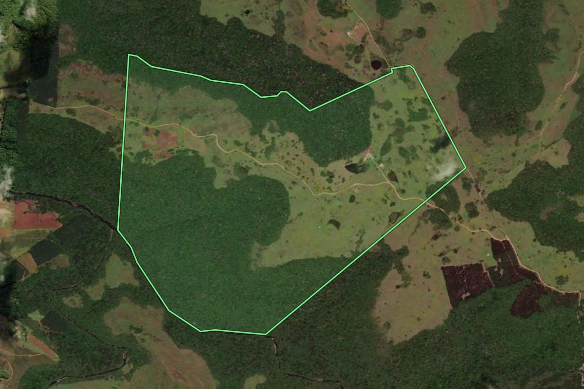 Imagem de satélite do imóvel rural em Jaquirana (RS), com o contorno declarado no CAR desenhado por cima.