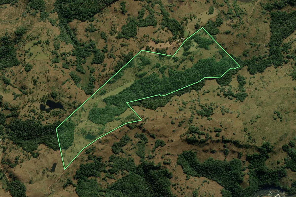 Imagem de satélite do imóvel rural em Jaquirana (RS), com o contorno declarado no CAR desenhado por cima.