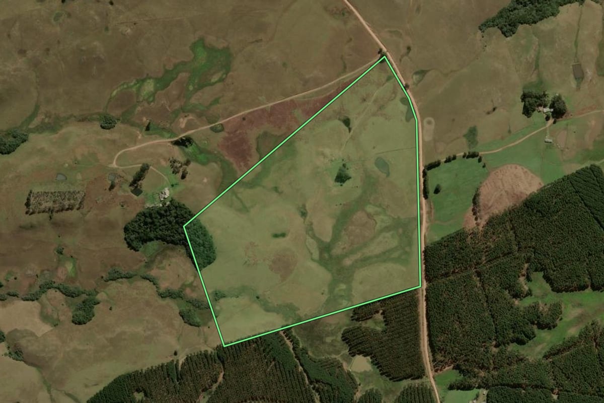 Imagem de satélite do imóvel rural em Jaquirana (RS), com o contorno declarado no CAR desenhado por cima.
