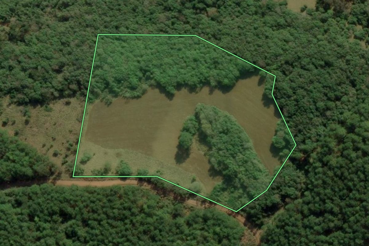 Imagem de satélite do imóvel rural em Jaquirana (RS), com o contorno declarado no CAR desenhado por cima.