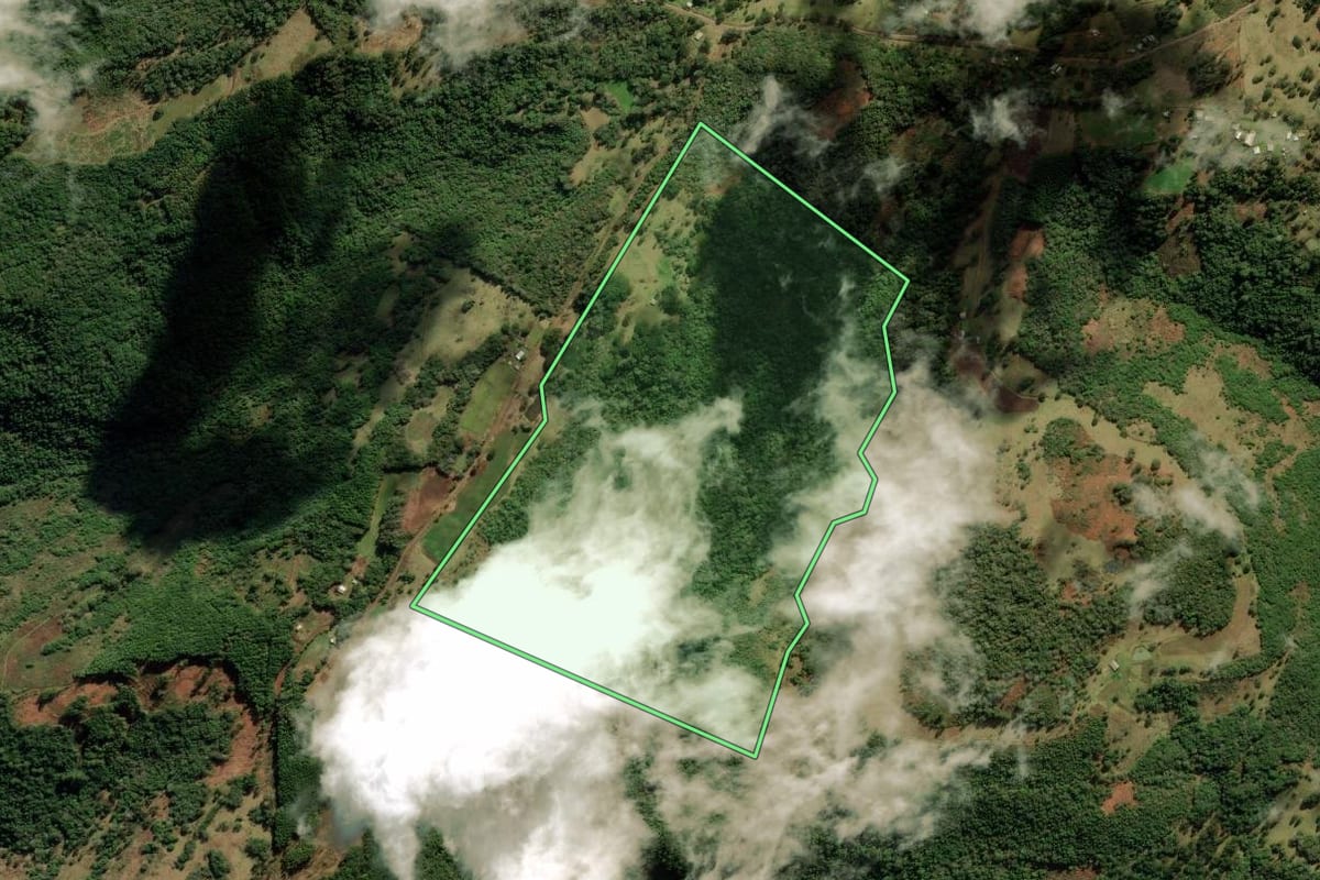 Imagem de satélite do imóvel rural em Jaquirana (RS), com o contorno declarado no CAR desenhado por cima.