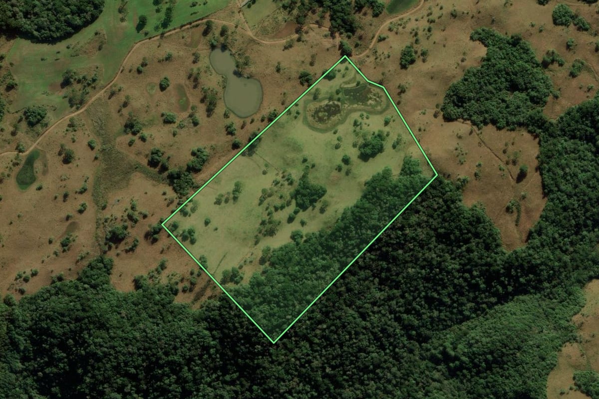 Imagem de satélite do imóvel rural em Jaquirana (RS), com o contorno declarado no CAR desenhado por cima.