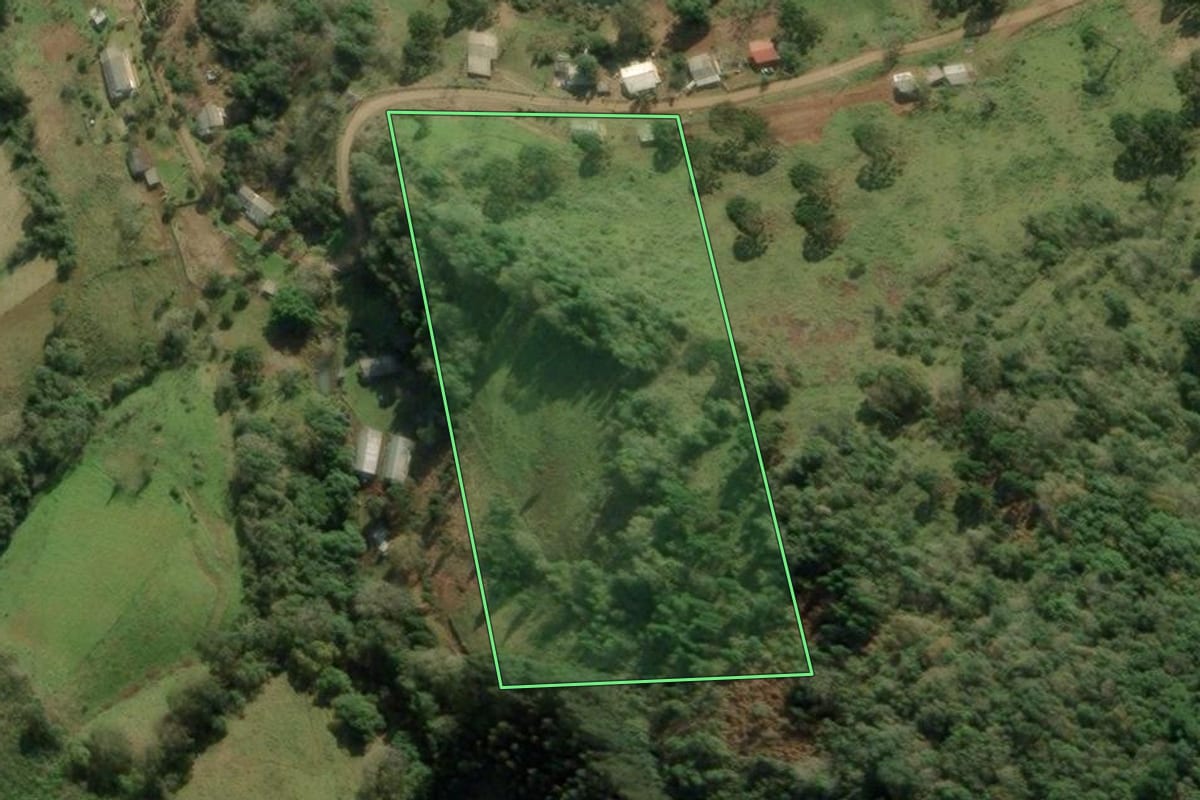 Imagem de satélite do imóvel rural em Jaquirana (RS), com o contorno declarado no CAR desenhado por cima.