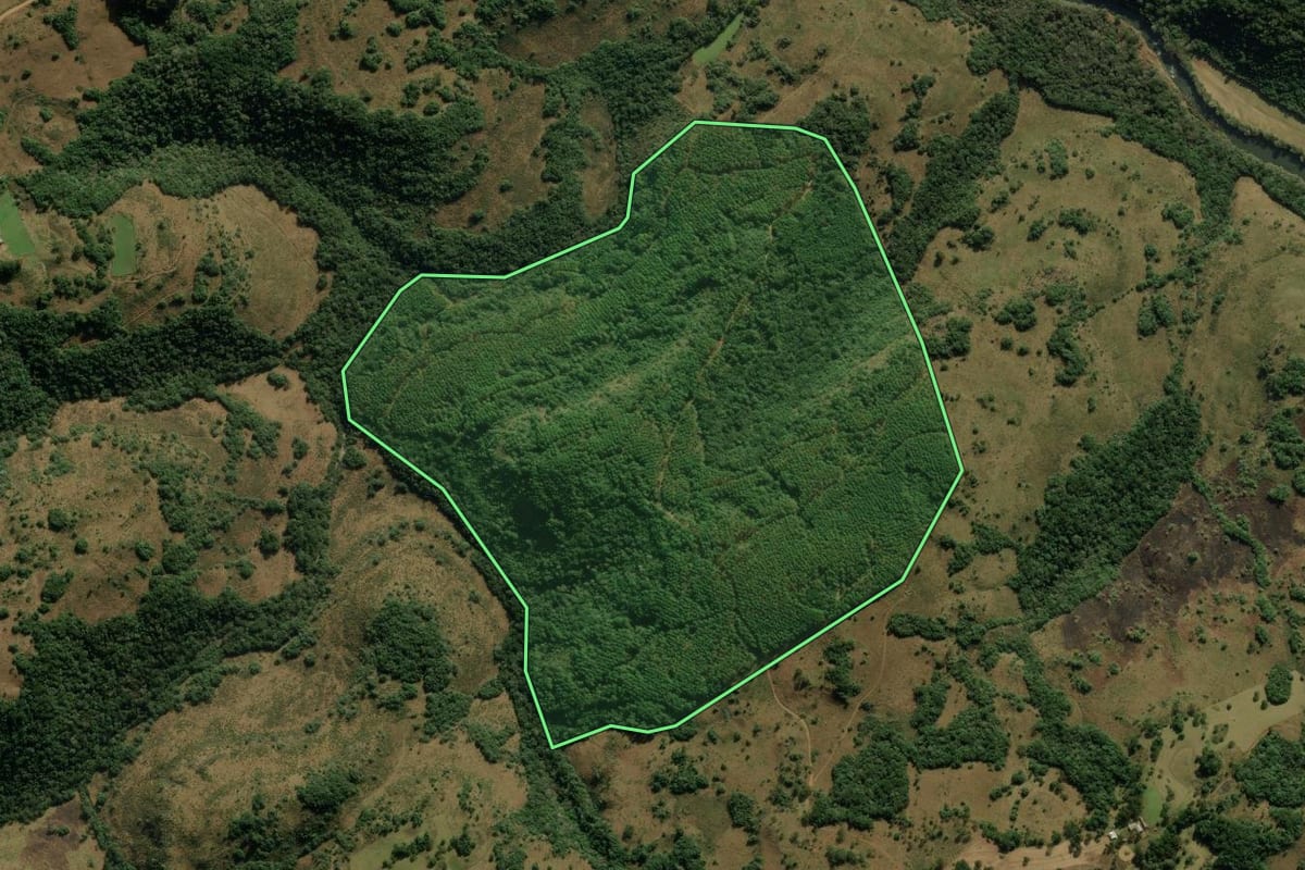 Imagem de satélite do imóvel rural em Jaquirana (RS), com o contorno declarado no CAR desenhado por cima.
