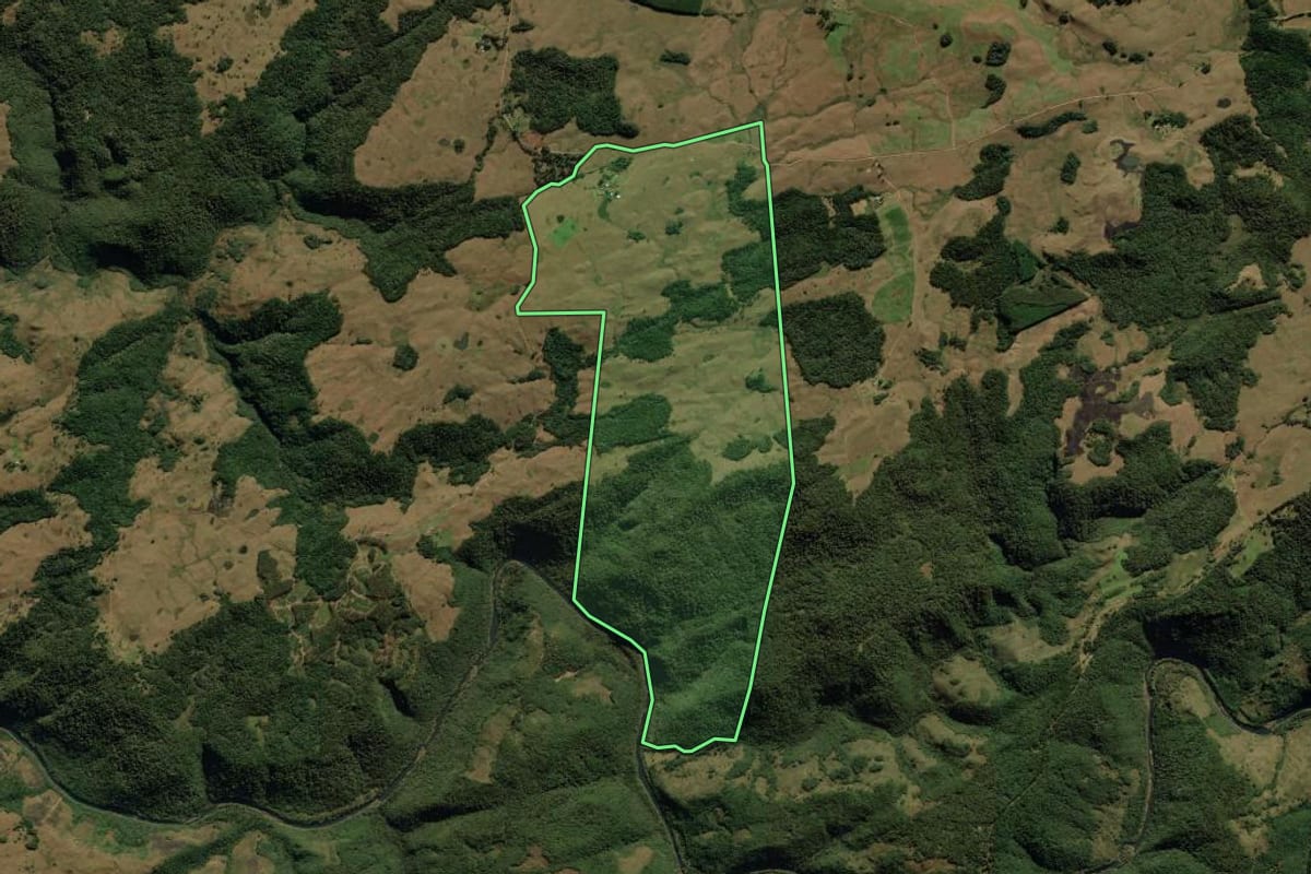Imagem de satélite do imóvel rural em Jaquirana (RS), com o contorno declarado no CAR desenhado por cima.
