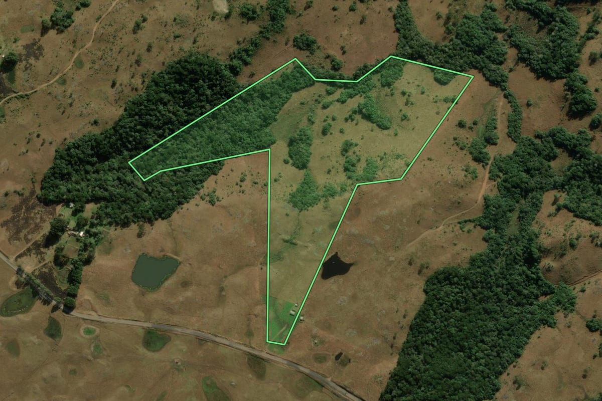 Imagem de satélite do imóvel rural em Jaquirana (RS), com o contorno declarado no CAR desenhado por cima.