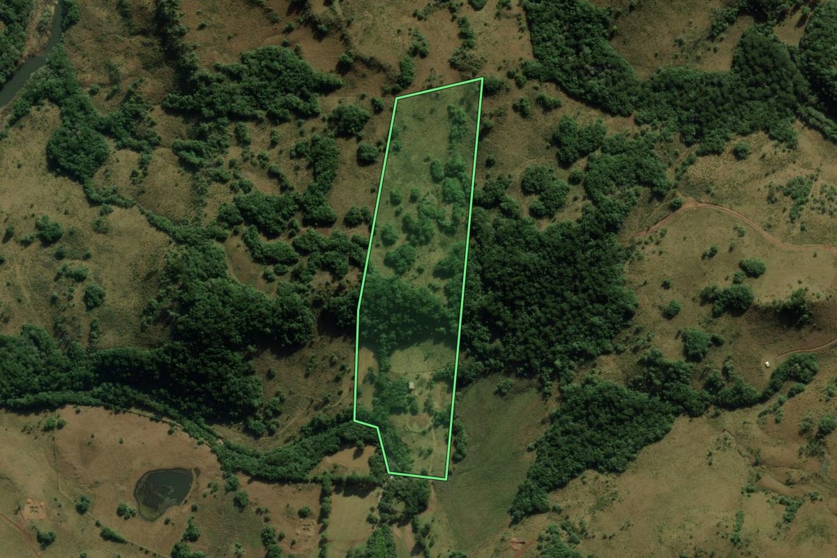Imagem de satélite do imóvel rural em Jaquirana (RS), com o contorno declarado no CAR desenhado por cima.