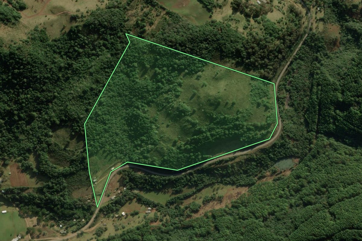 Imagem de satélite do imóvel rural em Jaquirana (RS), com o contorno declarado no CAR desenhado por cima.
