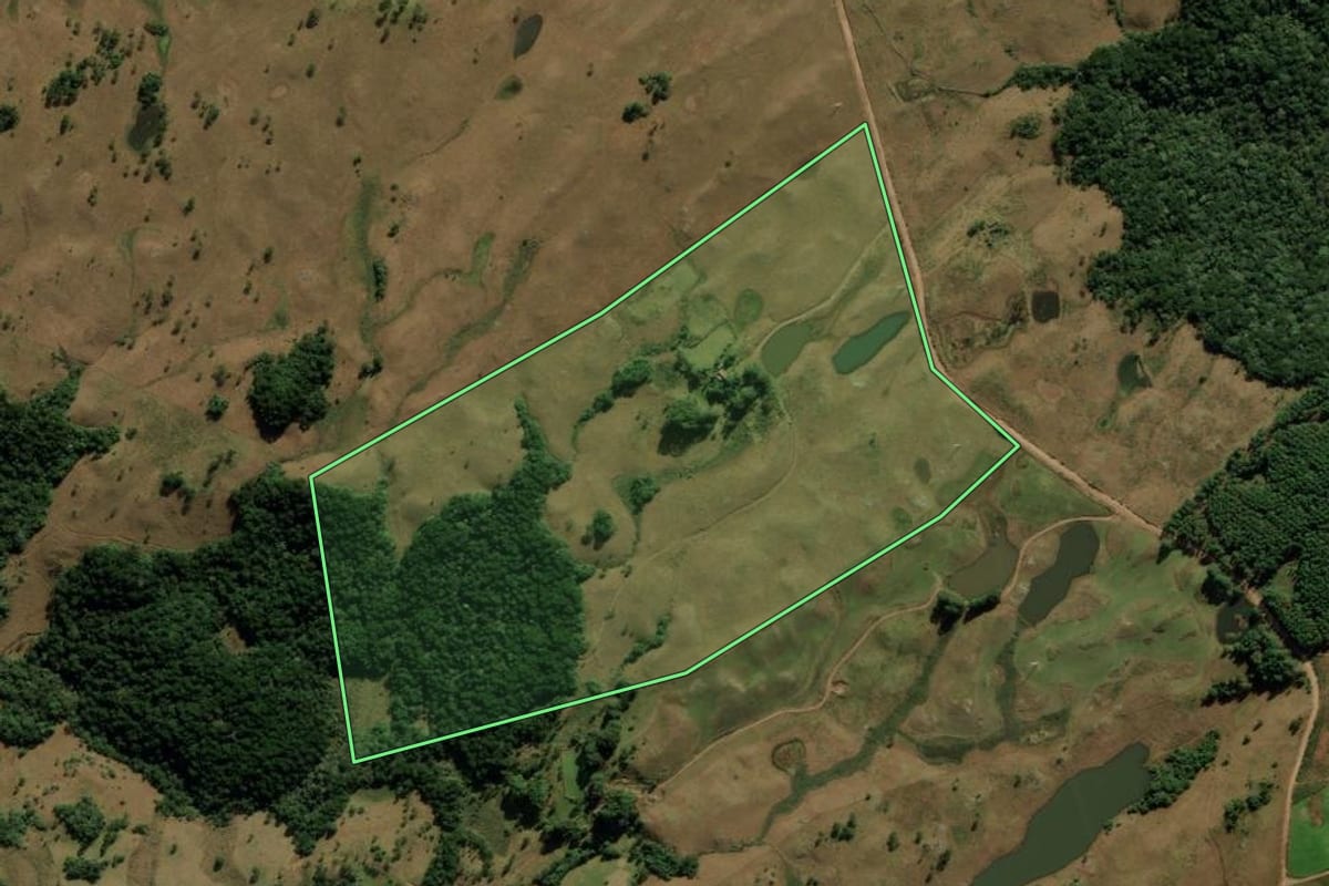 Imagem de satélite do imóvel rural em Jaquirana (RS), com o contorno declarado no CAR desenhado por cima.