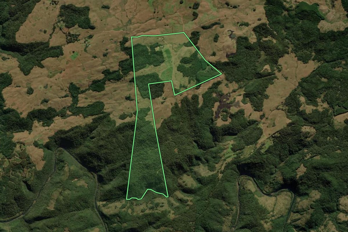 Imagem de satélite do imóvel rural em Jaquirana (RS), com o contorno declarado no CAR desenhado por cima.