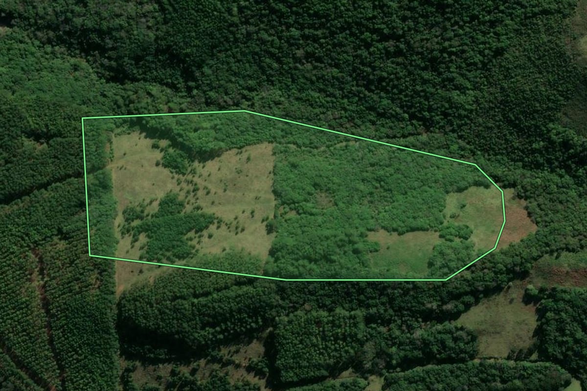 Imagem de satélite do imóvel rural em Jaquirana (RS), com o contorno declarado no CAR desenhado por cima.
