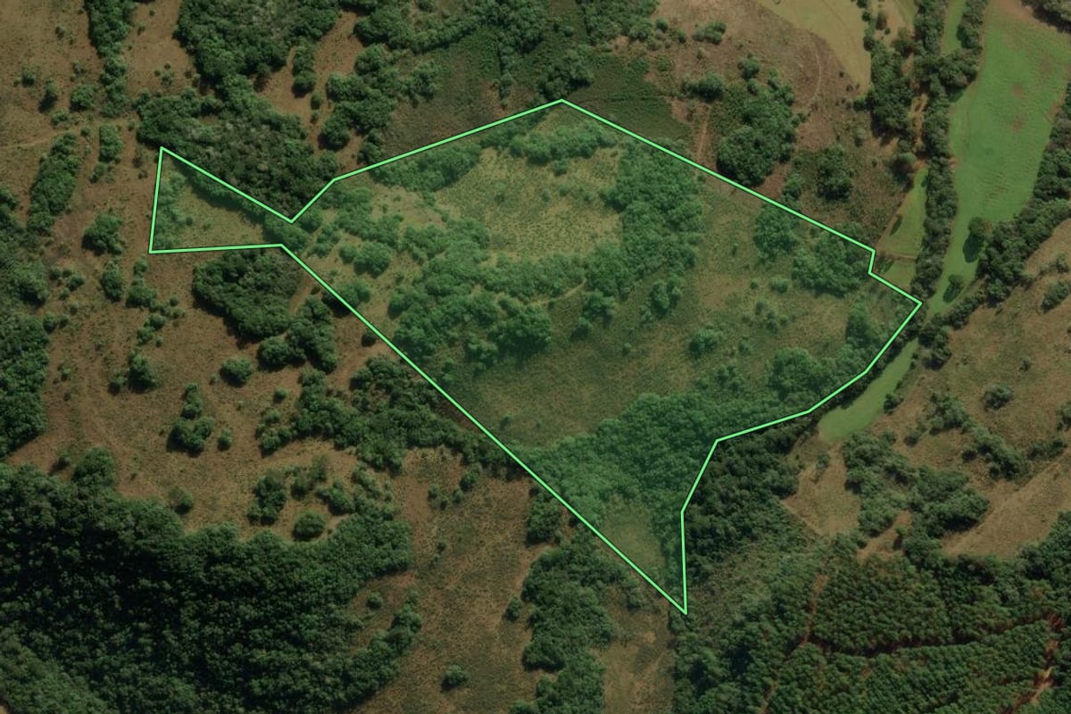 Imagem de satélite do imóvel rural em Jaquirana (RS), com o contorno declarado no CAR desenhado por cima.