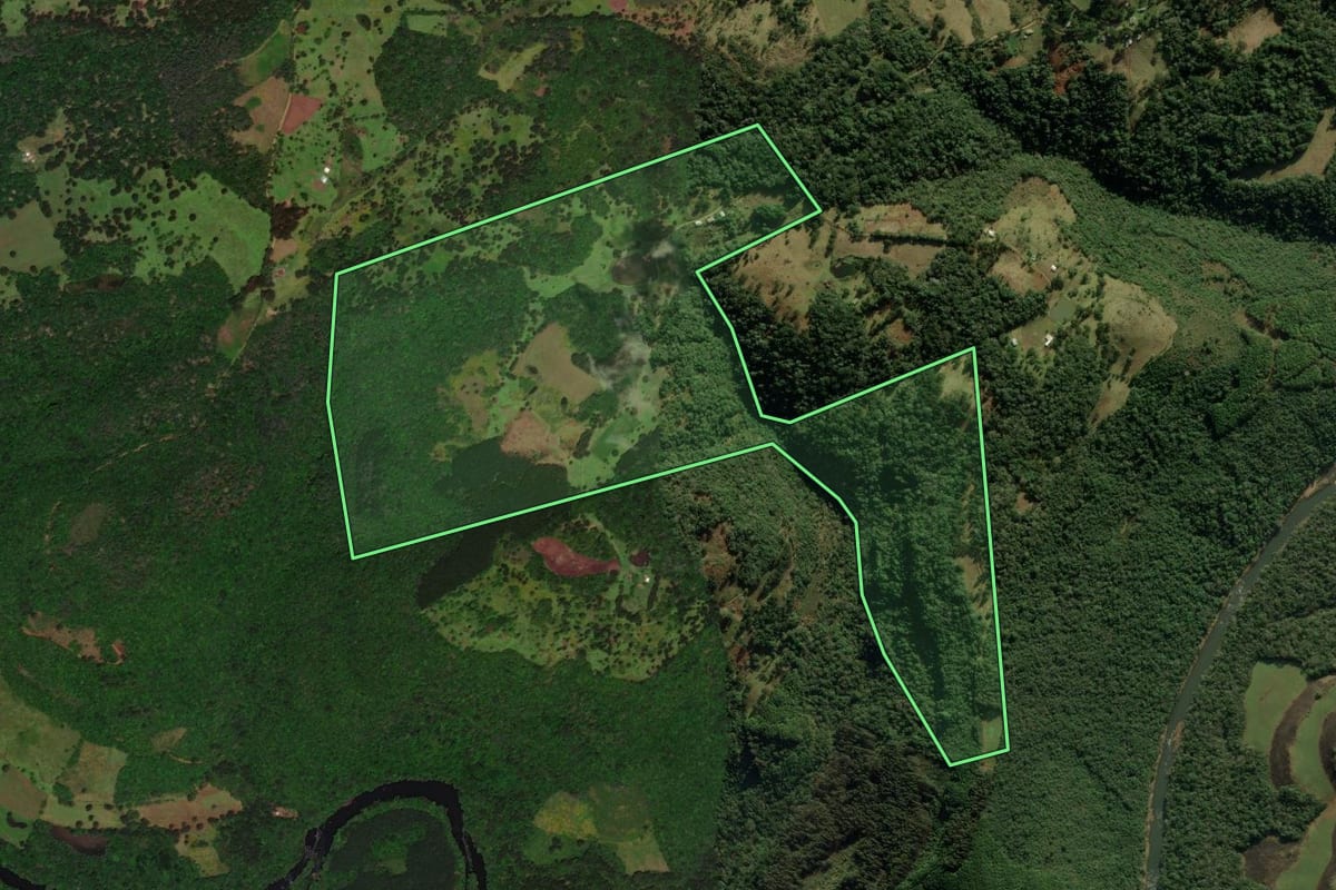 Imagem de satélite do imóvel rural em Jaquirana (RS), com o contorno declarado no CAR desenhado por cima.