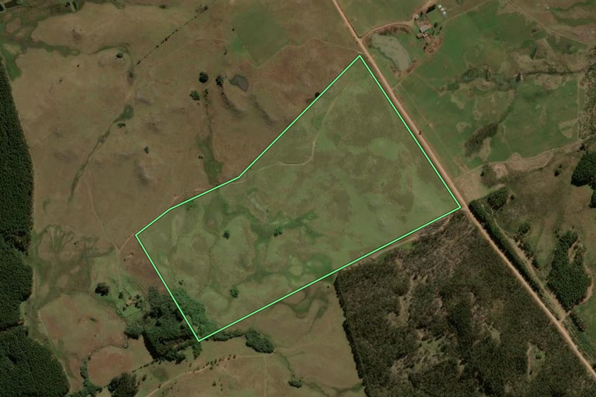 Imagem de satélite do imóvel rural em Jaquirana (RS), com o contorno declarado no CAR desenhado por cima.