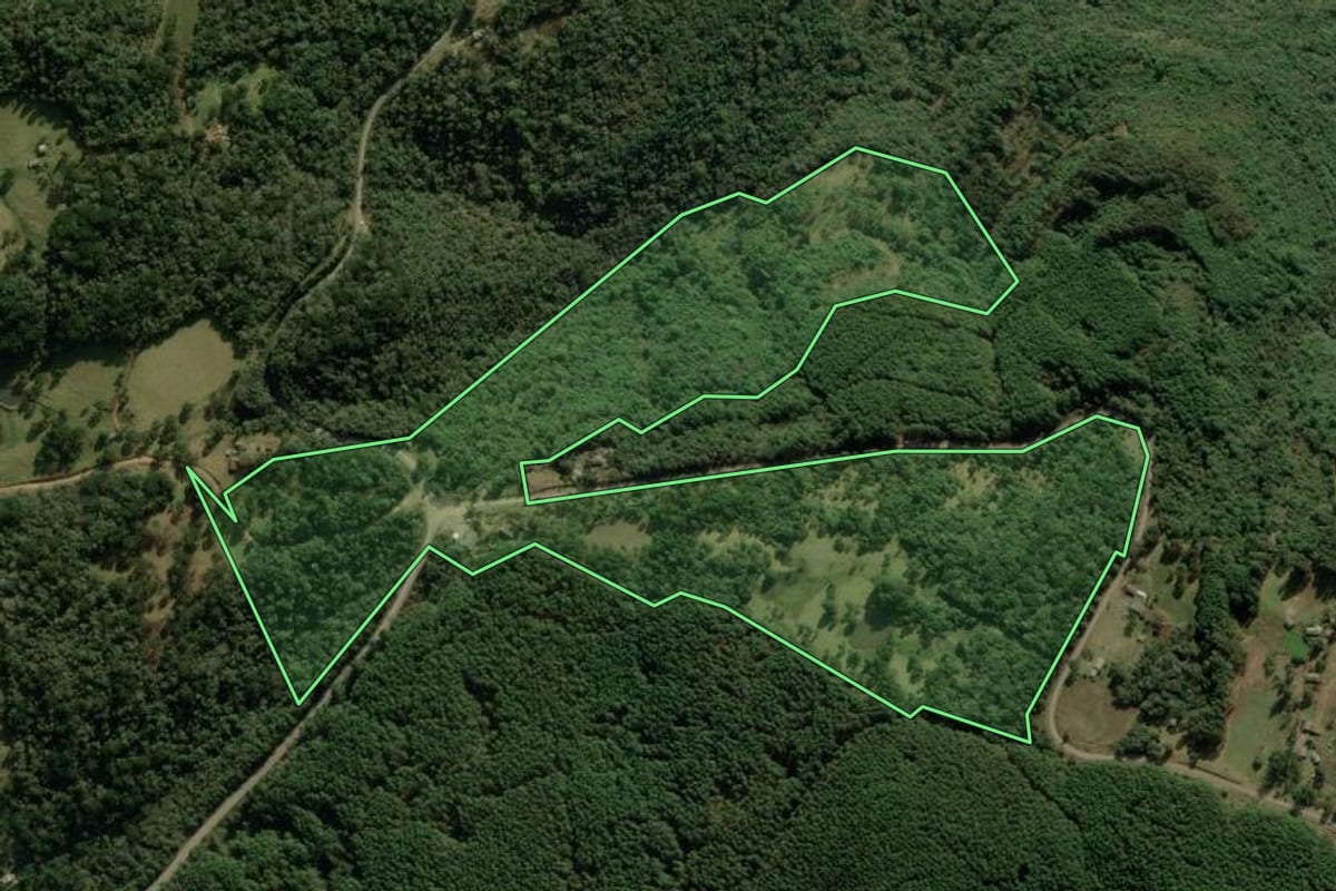 Imagem de satélite do imóvel rural em Jaquirana (RS), com o contorno declarado no CAR desenhado por cima.