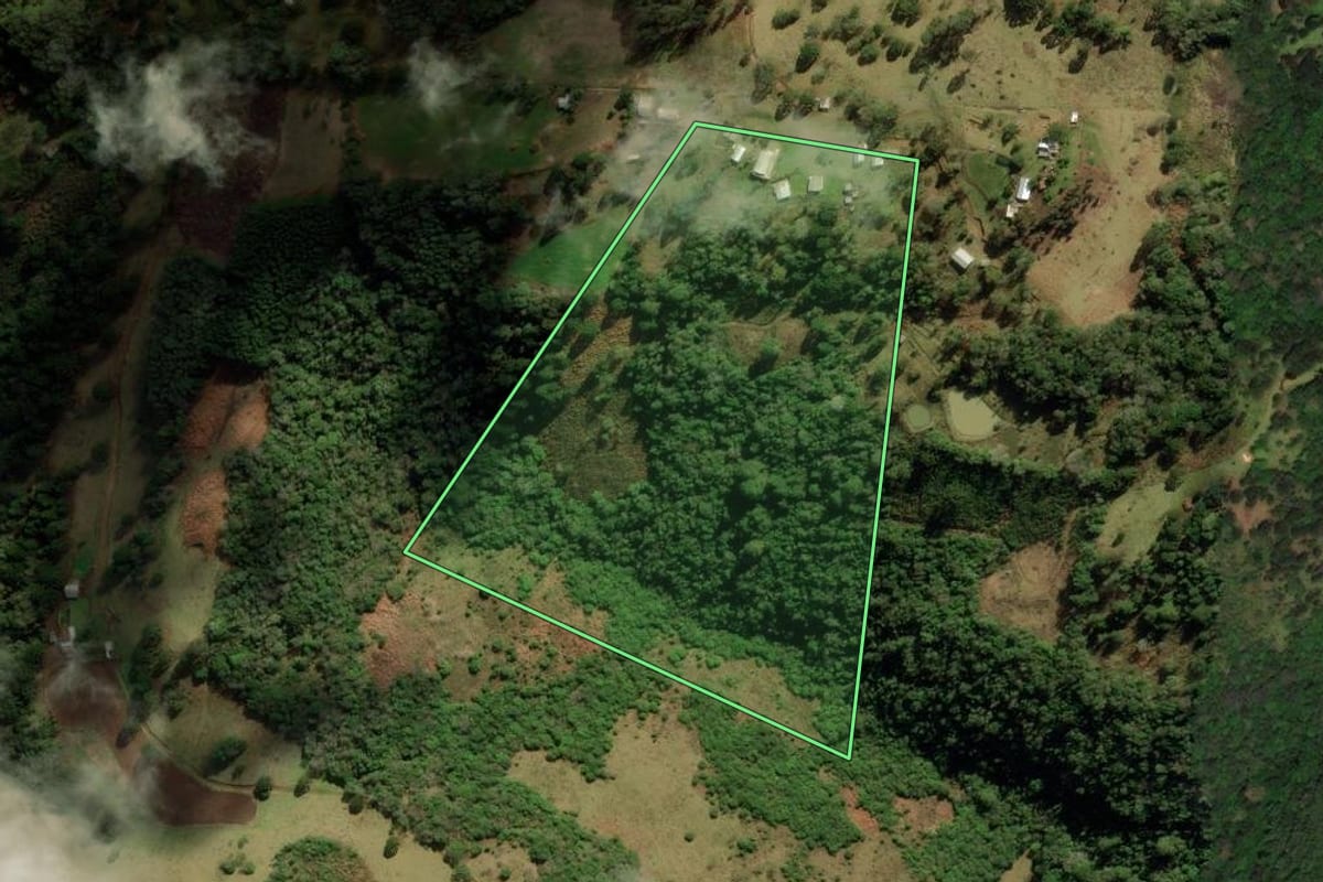 Imagem de satélite do imóvel rural em Jaquirana (RS), com o contorno declarado no CAR desenhado por cima.
