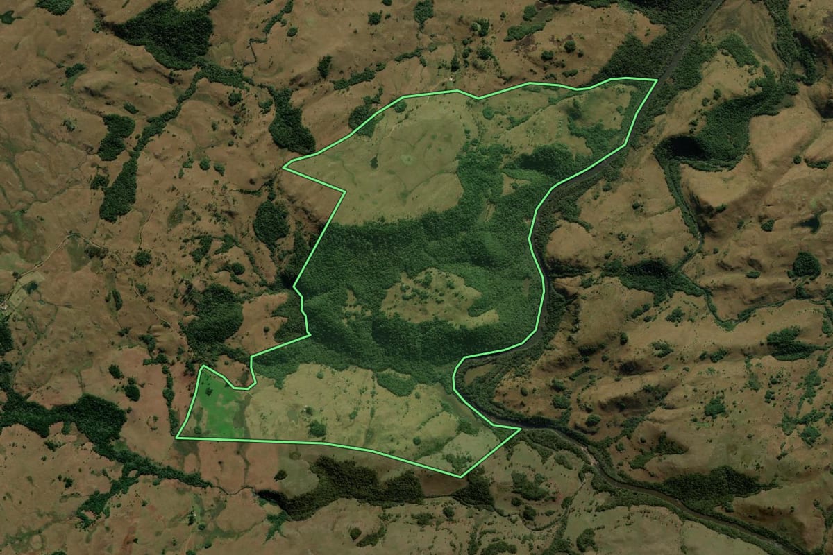 Imagem de satélite do imóvel rural em Jaquirana (RS), com o contorno declarado no CAR desenhado por cima.