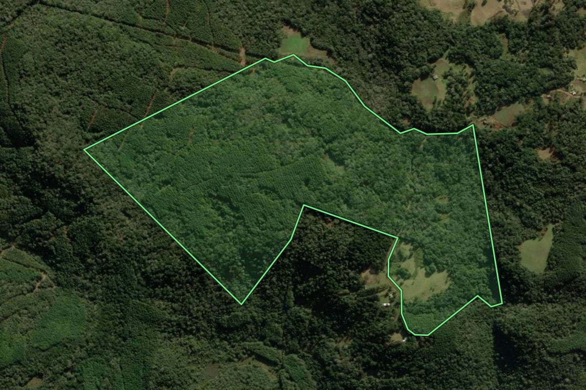 Imagem de satélite do imóvel rural em Jaquirana (RS), com o contorno declarado no CAR desenhado por cima.