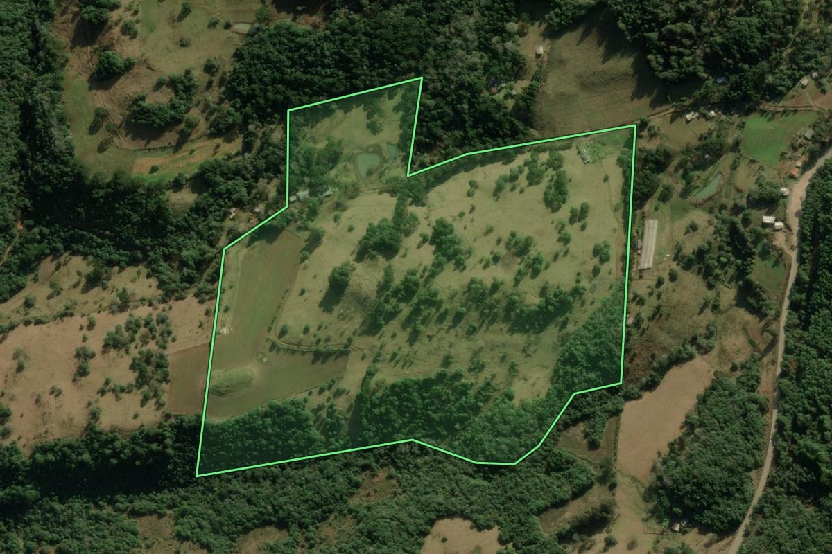 Imagem de satélite do imóvel rural em Jaquirana (RS), com o contorno declarado no CAR desenhado por cima.