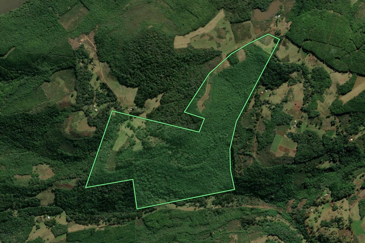 Imagem de satélite do imóvel rural em Jaquirana (RS), com o contorno declarado no CAR desenhado por cima.