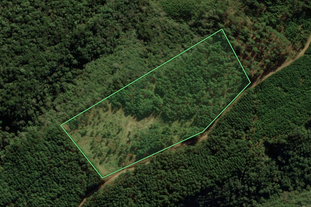 Imagem de satélite do imóvel rural em Jaquirana (RS), com o contorno declarado no CAR desenhado por cima.