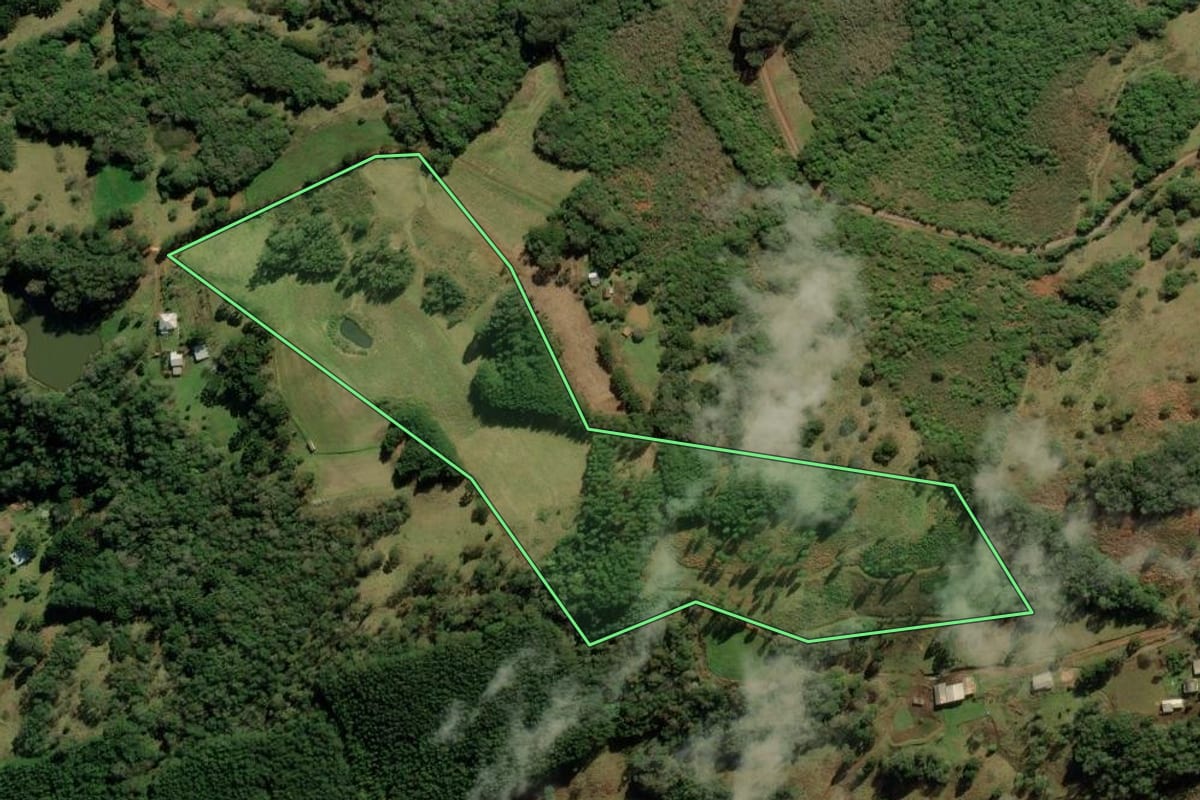 Imagem de satélite do imóvel rural em Jaquirana (RS), com o contorno declarado no CAR desenhado por cima.