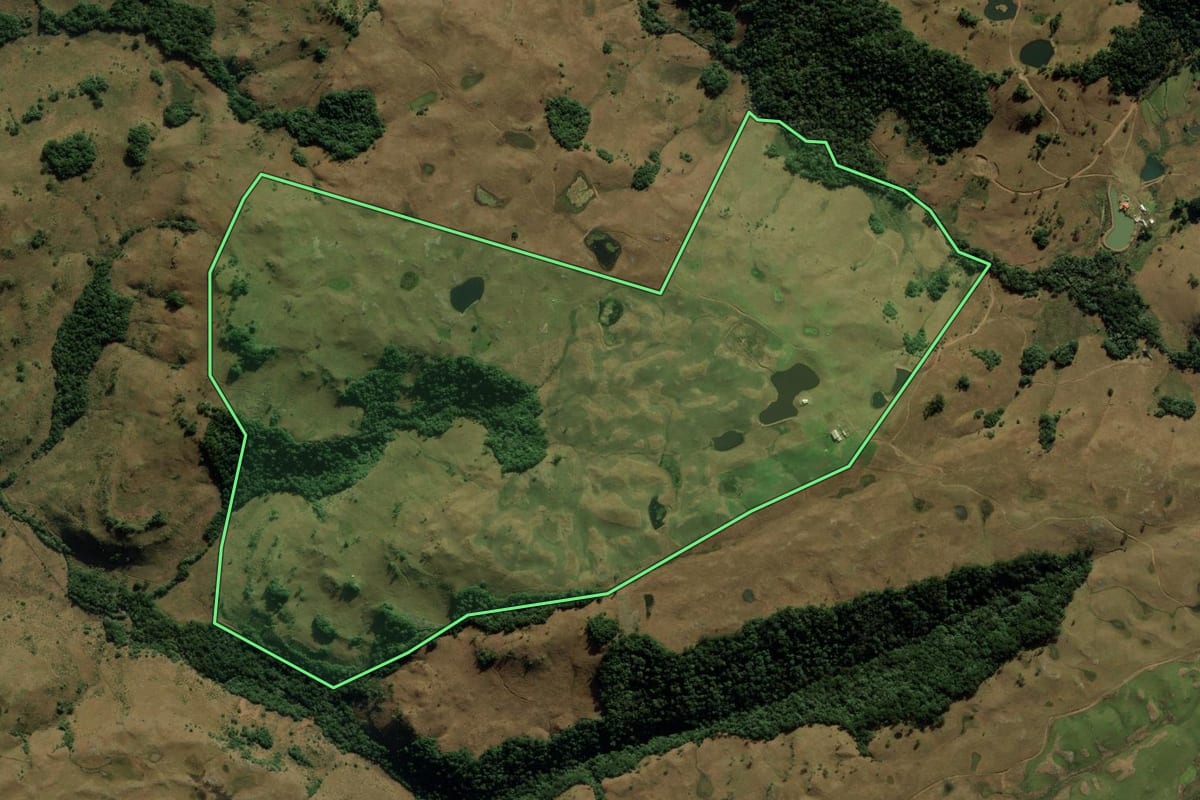 Imagem de satélite do imóvel rural em Jaquirana (RS), com o contorno declarado no CAR desenhado por cima.