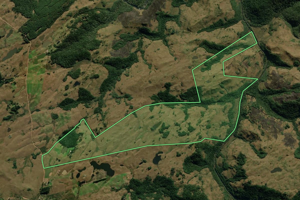 Imagem de satélite do imóvel rural em Jaquirana (RS), com o contorno declarado no CAR desenhado por cima.