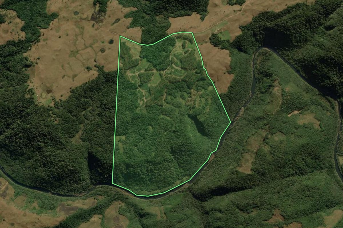 Imagem de satélite do imóvel rural em Jaquirana (RS), com o contorno declarado no CAR desenhado por cima.