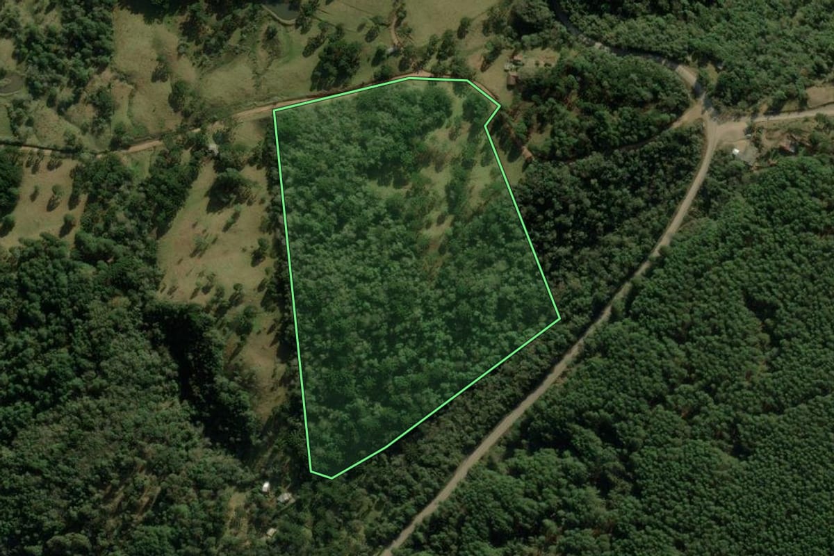 Imagem de satélite do imóvel rural em Jaquirana (RS), com o contorno declarado no CAR desenhado por cima.
