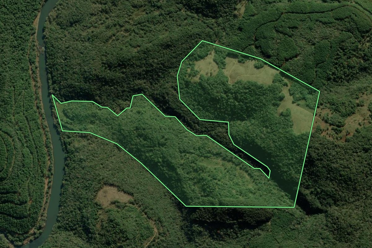 Imagem de satélite do imóvel rural em Jaquirana (RS), com o contorno declarado no CAR desenhado por cima.
