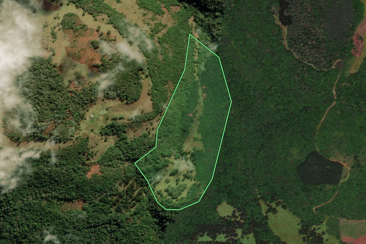 Imagem de satélite do imóvel rural em Jaquirana (RS), com o contorno declarado no CAR desenhado por cima.