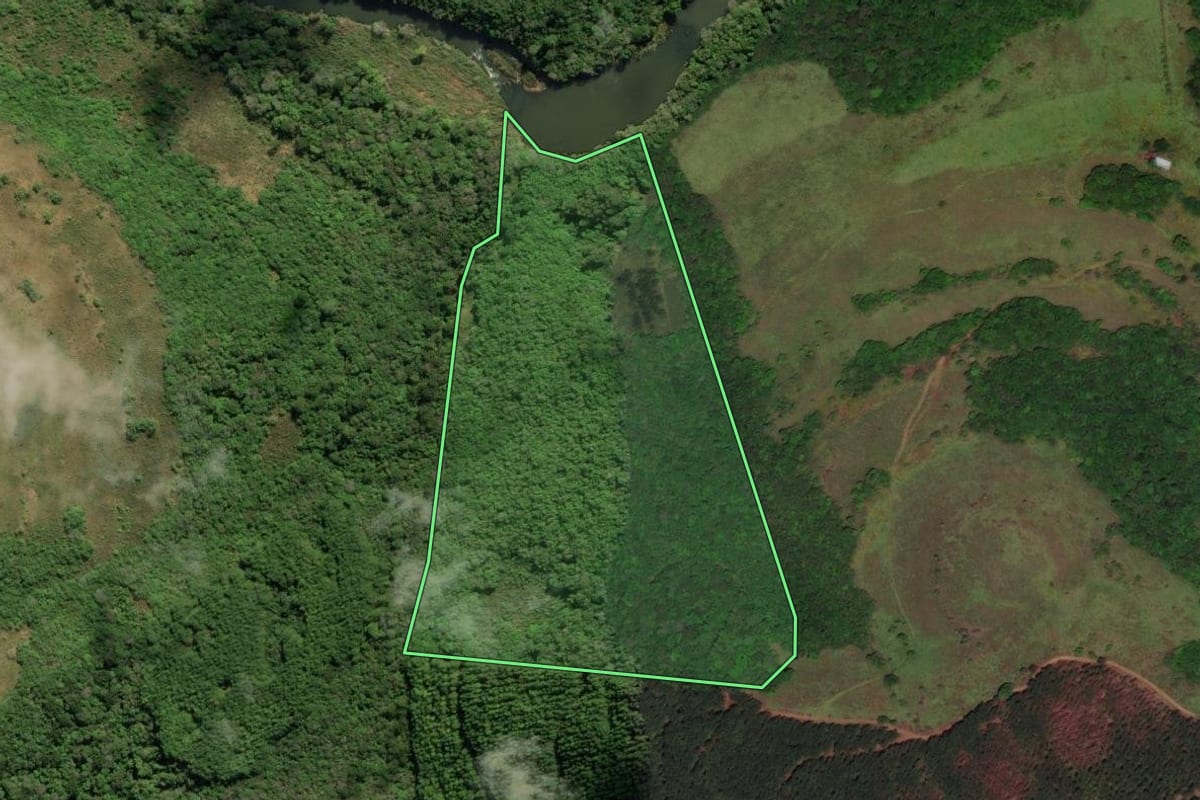 Imagem de satélite do imóvel rural em Jaquirana (RS), com o contorno declarado no CAR desenhado por cima.
