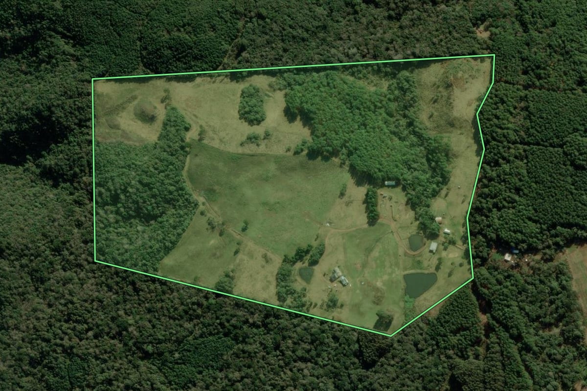 Imagem de satélite do imóvel rural em Jaquirana (RS), com o contorno declarado no CAR desenhado por cima.