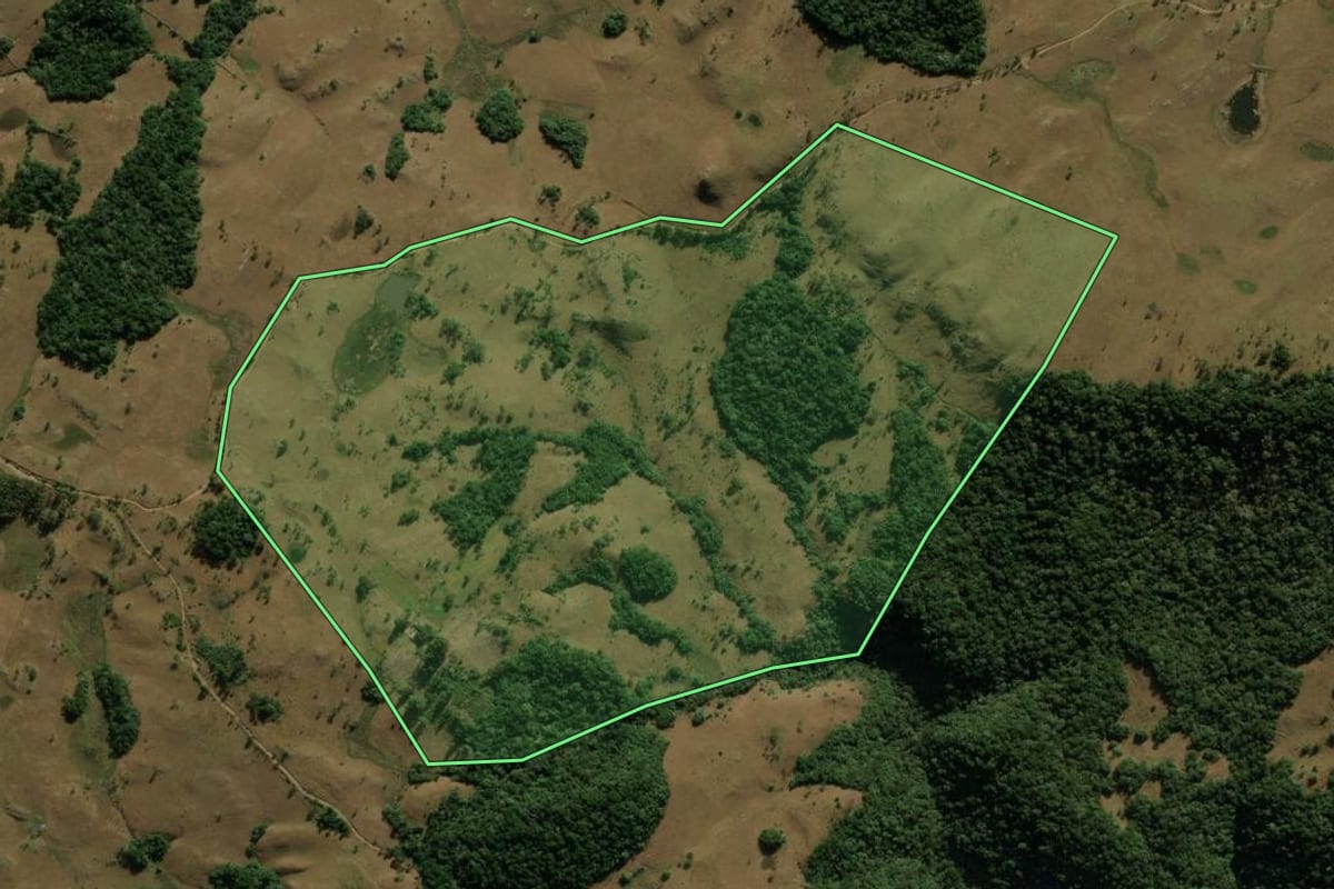 Imagem de satélite do imóvel rural em Jaquirana (RS), com o contorno declarado no CAR desenhado por cima.