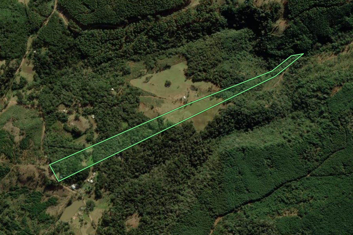 Imagem de satélite do imóvel rural em Jaquirana (RS), com o contorno declarado no CAR desenhado por cima.