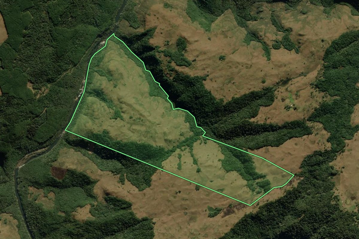 Imagem de satélite do imóvel rural em Jaquirana (RS), com o contorno declarado no CAR desenhado por cima.