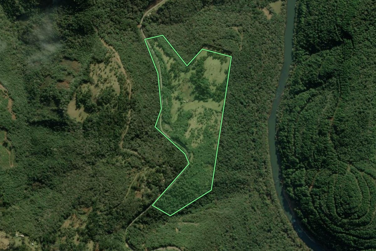 Imagem de satélite do imóvel rural em Jaquirana (RS), com o contorno declarado no CAR desenhado por cima.
